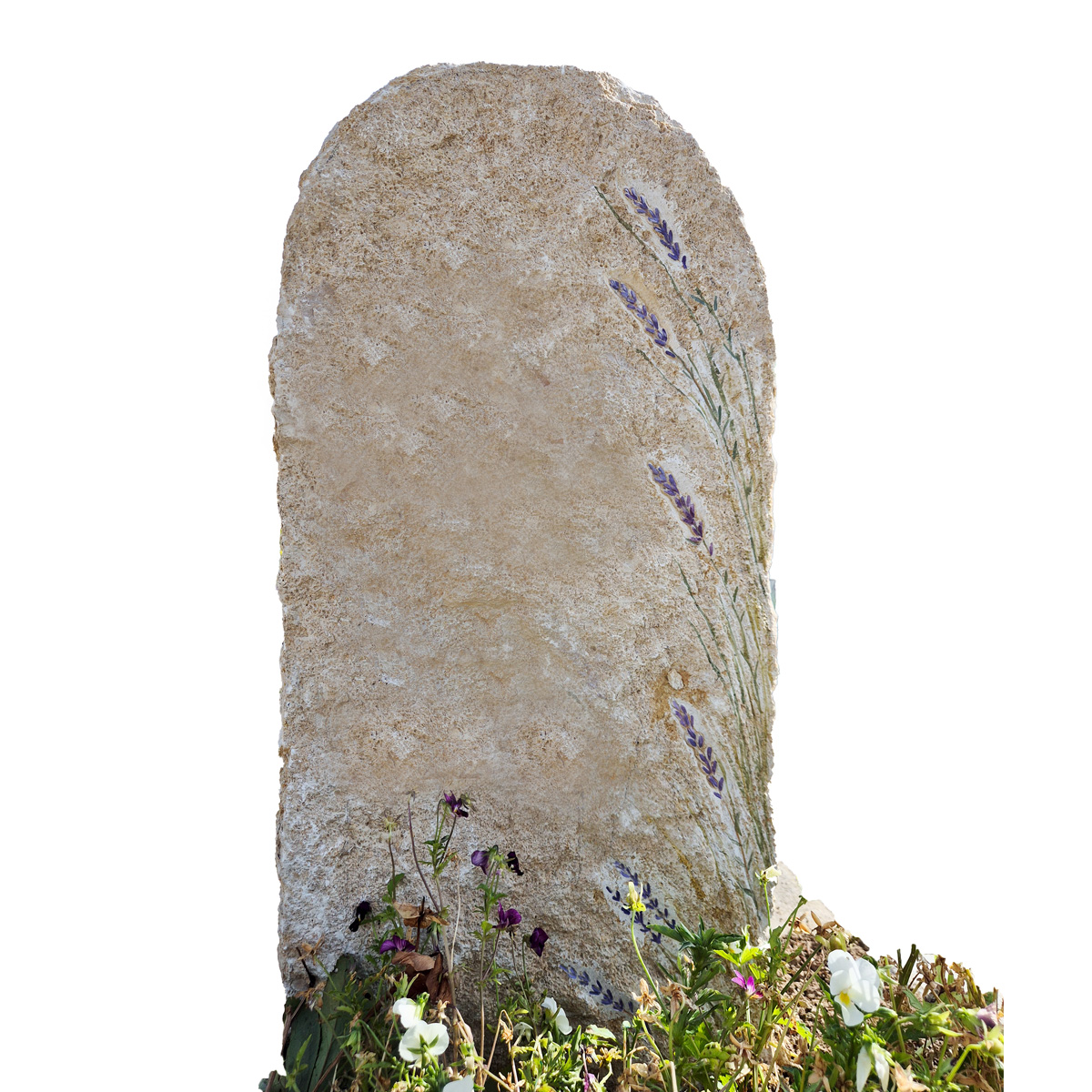 images/grabsteine/blumen/Lavendel.jpg#joomlaImage://local-images/grabsteine/blumen/Lavendel.jpg?width=1200&height=1200