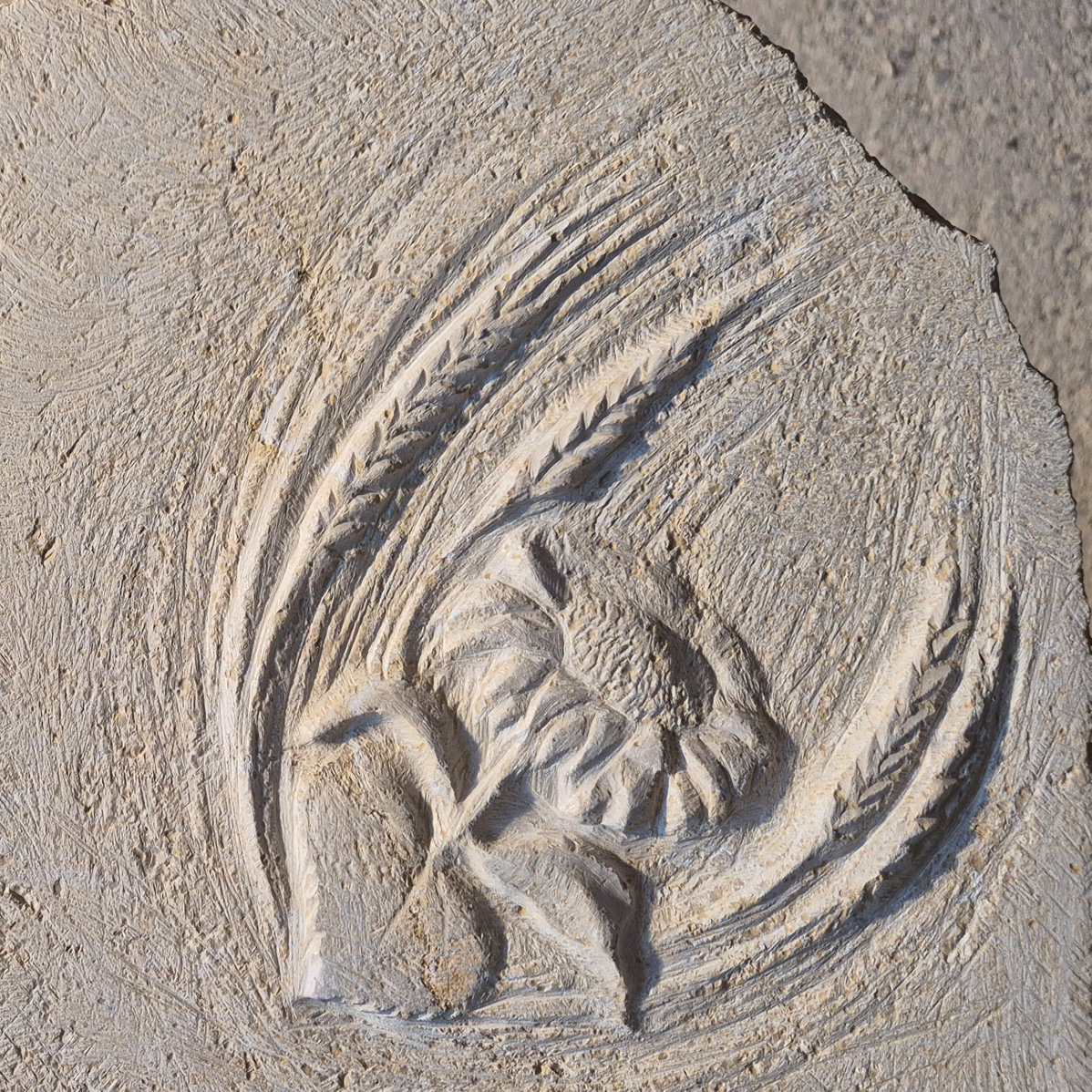 images/grabsteine/blumen/Sommerende.jpg#joomlaImage://local-images/grabsteine/blumen/Sommerende.jpg?width=1198&height=1198